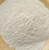 Semi Refined Kappa Powder