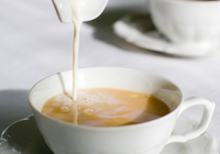 Non-Dairy Creamer for Coffee