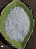 Desiccated Coconut High Fat/ Low Fat