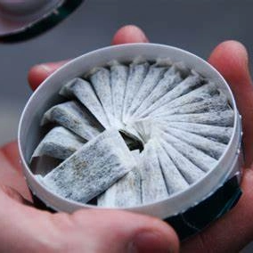 snus-3_284_284