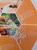Calcium Propionate